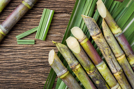 sugarcane stems