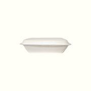 disposable take-out box 600ml