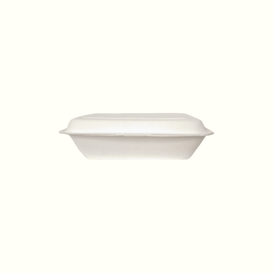 disposable take-out box 600ml
