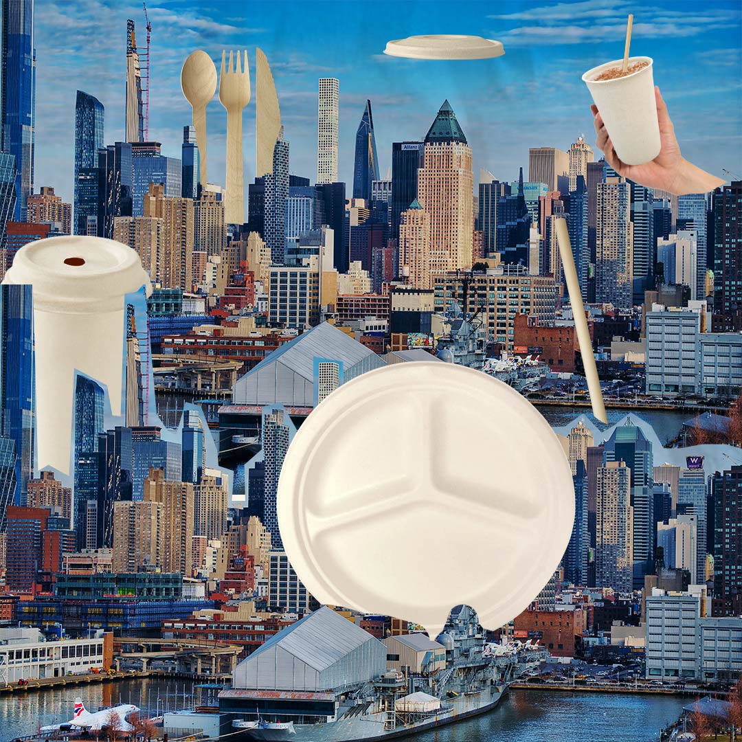 Now or Never: Why Now Is the Perfect Time for Businesses to Go Eco-Fri ...
