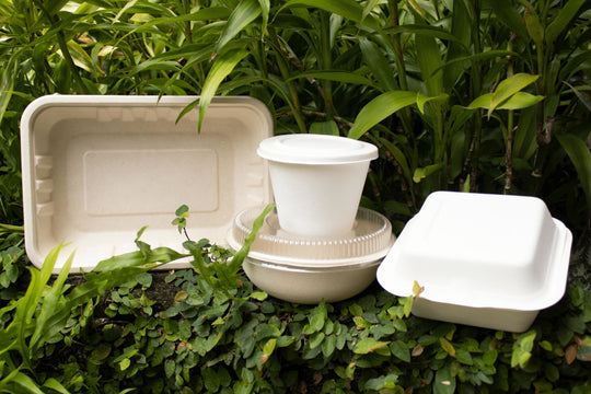 Why Your Food Business Should Shift to Using Eco-Friendly Packaging