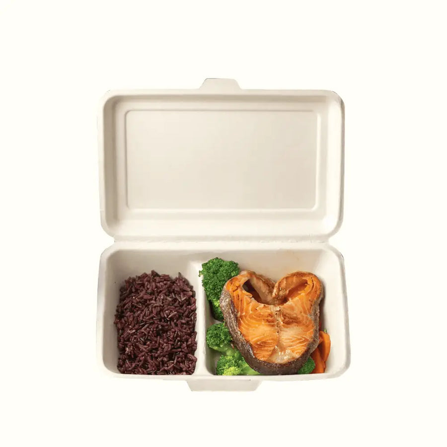 Econtainer B002 1000ml 2-compartment Sugarcane Bagasse Takeout box Compostable and Eco-friendly Food Packaging [50 pcs.]