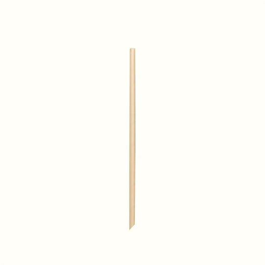 E2 Straw Eco-friendly Straws | Econtainer Philippines