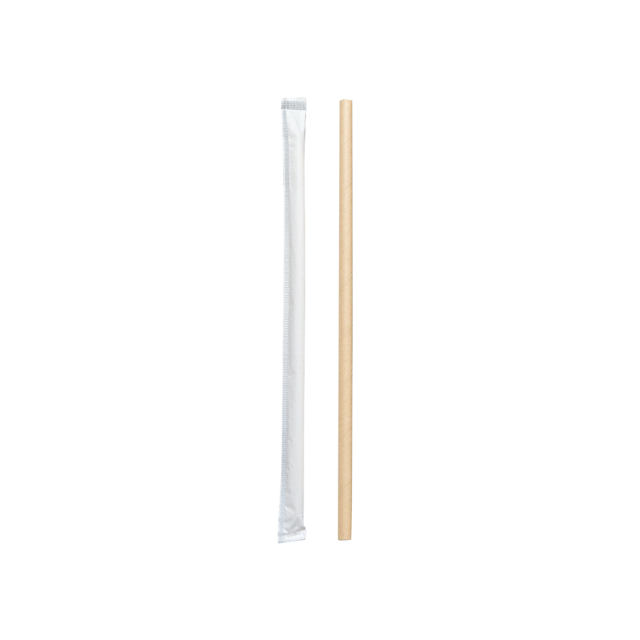 Econtainer ST07 210mm Sugarcane Bagasse Individually Wrapped Frappe Straw Compostable and Eco-friendly [100 pcs.]