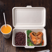 2-compartment take-out box 1000ml with food