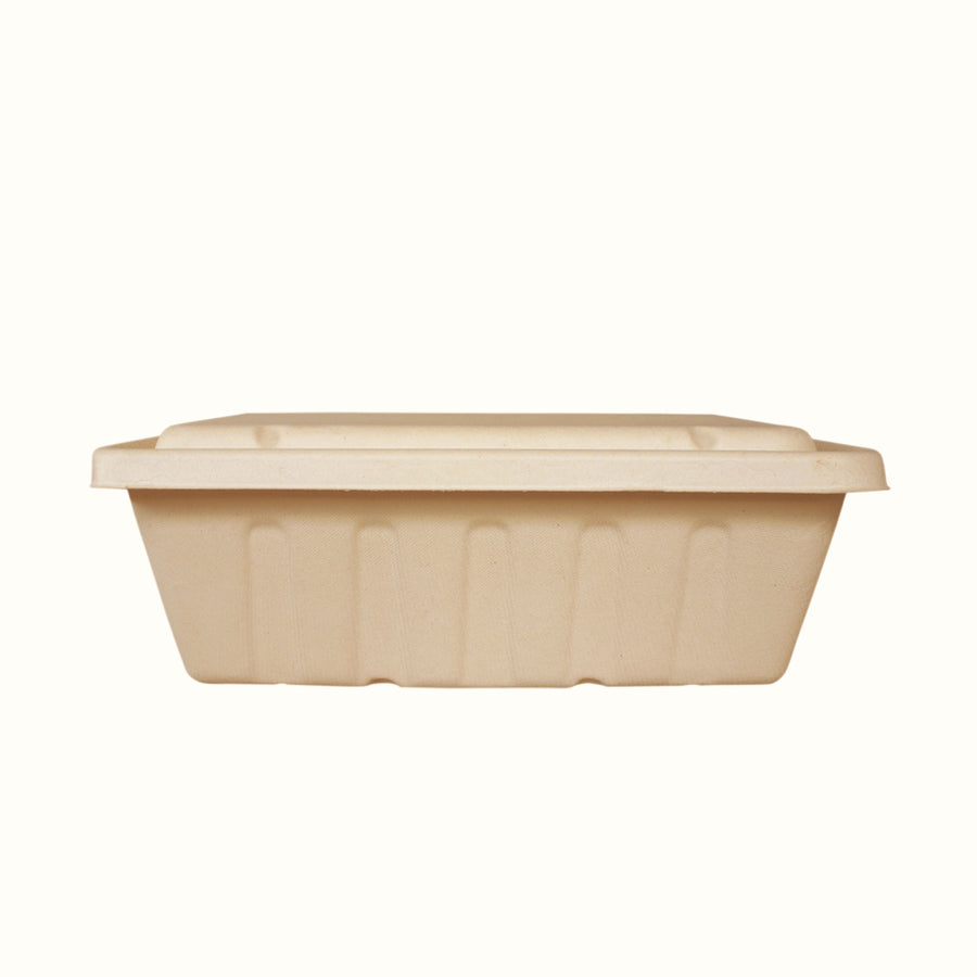 Econtainer T003 3000ml Sugarcane Bagasse Tray Compostable and Eco-friendly Food Packaging [50 pcs.]